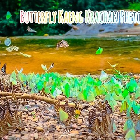 Baan Rai Pray Rung Kaeng Krachan Ban Tha Ling Lom 外观 照片