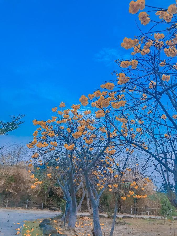 Baan Rai Pray Rung Kaeng Krachan Ban Tha Ling Lom 外观 照片